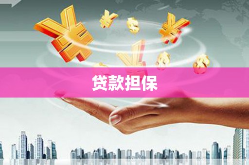 猇亭贷款担保
