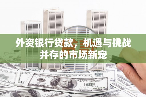 猇亭外资银行贷款，机遇与挑战并存的市场新宠