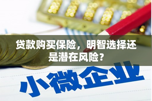 猇亭贷款购买保险，明智选择还是潜在风险？