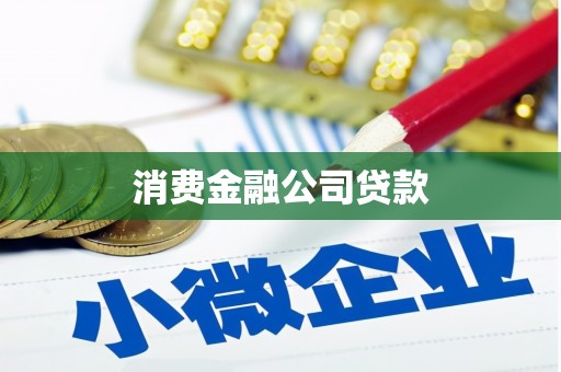 猇亭消费金融公司贷款