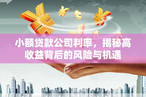 猇亭小额贷款公司利率，揭秘高收益背后的风险与机遇