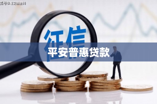 猇亭平安普惠贷款