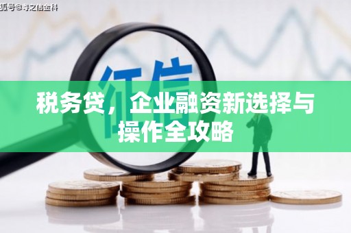 猇亭税务贷，企业融资新选择与操作全攻略