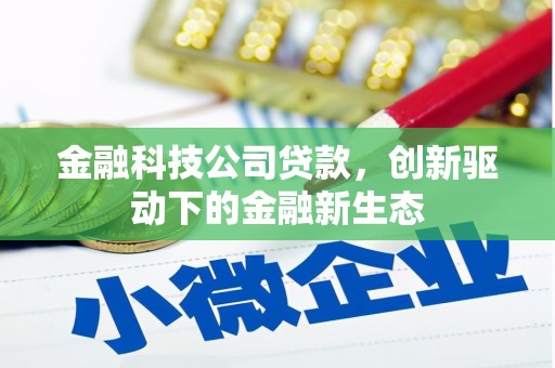 猇亭金融科技公司贷款，创新驱动下的金融新生态