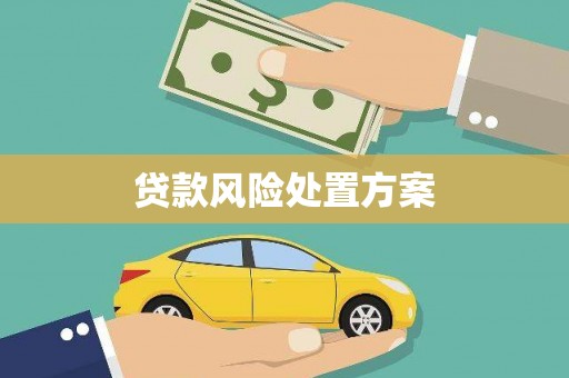 猇亭贷款风险处置方案