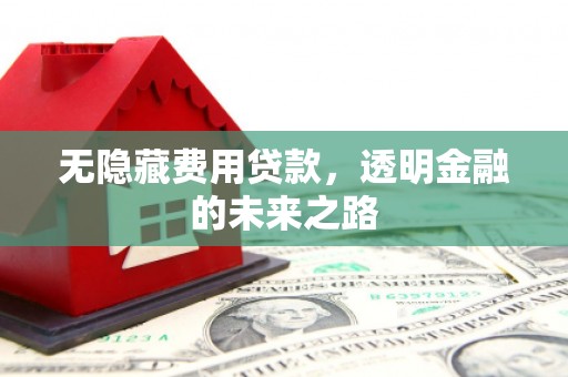 猇亭无隐藏费用贷款，透明金融的未来之路