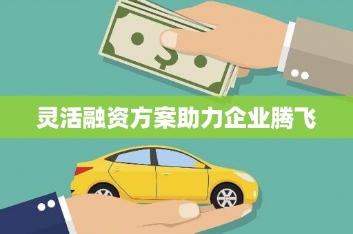 猇亭灵活融资方案助力企业腾飞