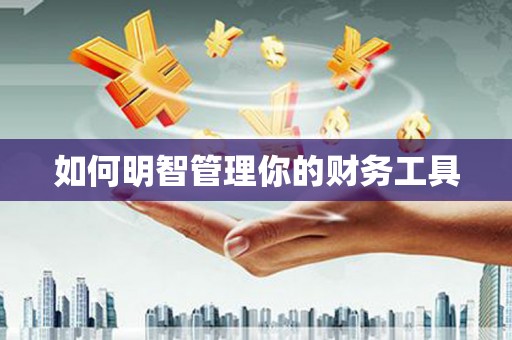 猇亭如何明智管理你的财务工具