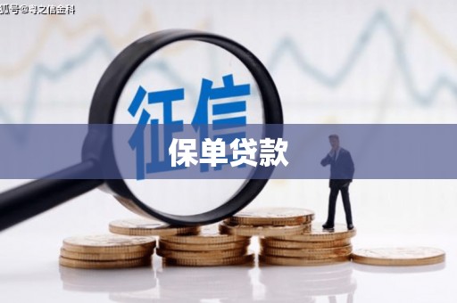 猇亭保单贷款