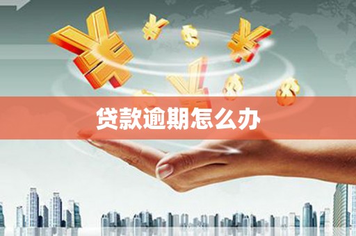 猇亭贷款逾期怎么办