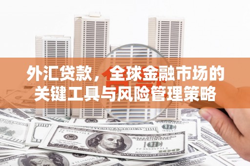 猇亭外汇贷款，全球金融市场的关键工具与风险管理策略