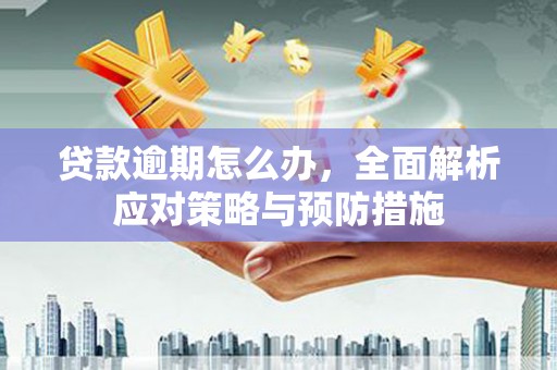 猇亭贷款逾期怎么办，全面解析应对策略与预防措施
