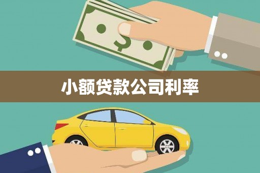 猇亭小额贷款公司利率