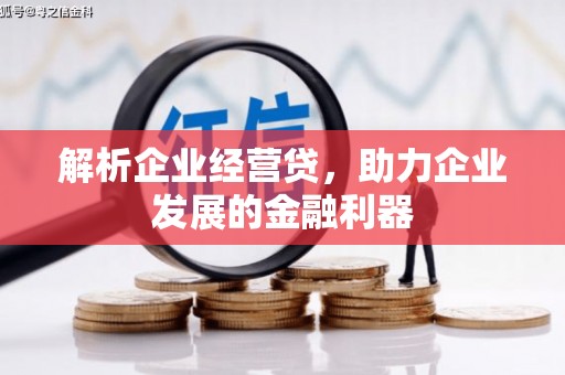 猇亭解析企业经营贷，助力企业发展的金融利器