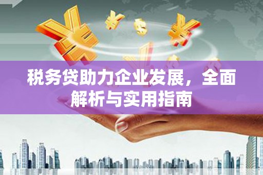 猇亭税务贷助力企业发展，全面解析与实用指南