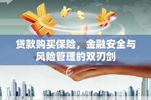 猇亭贷款购买保险，金融安全与风险管理的双刃剑