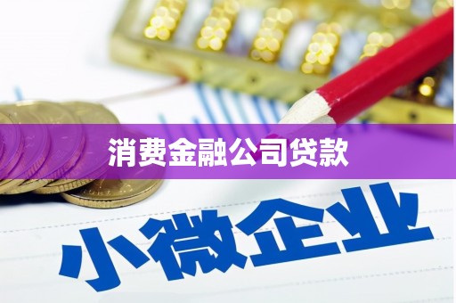 猇亭消费金融公司贷款
