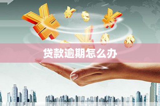 猇亭贷款逾期怎么办
