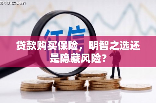 猇亭贷款购买保险，明智之选还是隐藏风险？