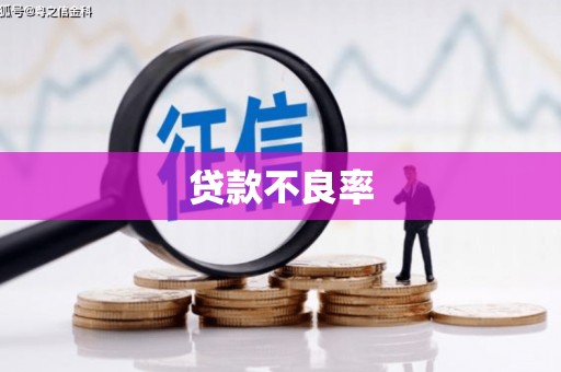 猇亭贷款不良率