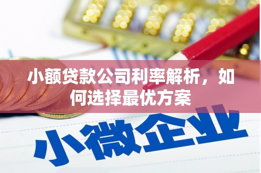 猇亭小额贷款公司利率解析，如何选择最优方案