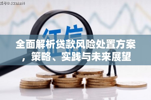 猇亭全面解析贷款风险处置方案，策略、实践与未来展望