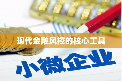 猇亭现代金融风控的核心工具