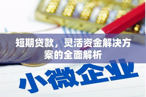 猇亭短期贷款，灵活资金解决方案的全面解析