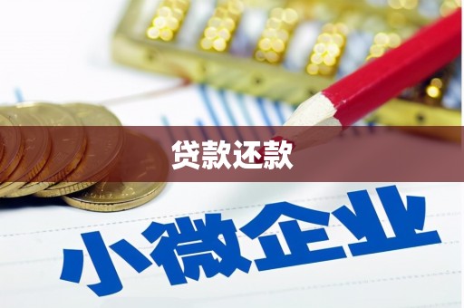 猇亭贷款还款