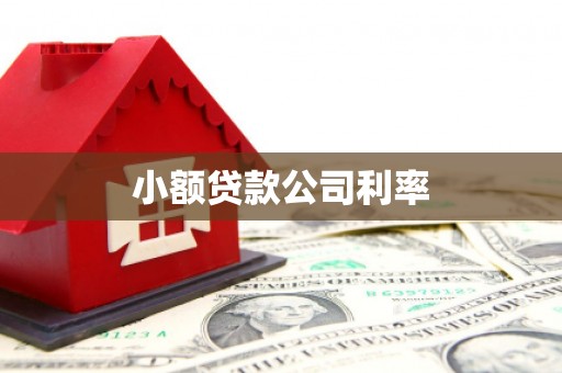 猇亭小额贷款公司利率