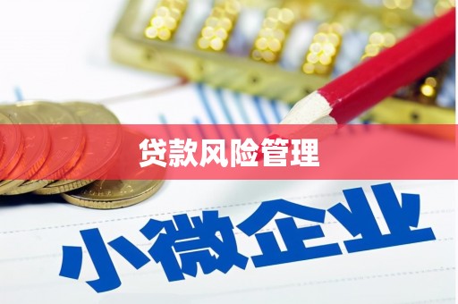猇亭贷款风险管理