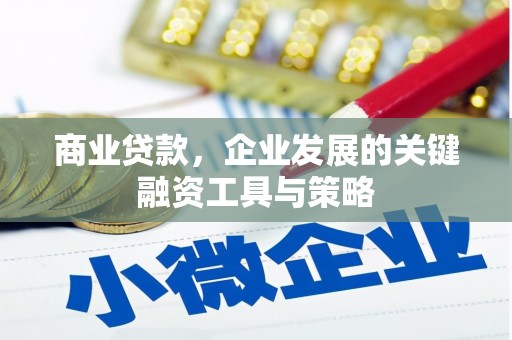 猇亭商业贷款，企业发展的关键融资工具与策略