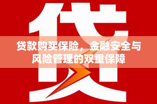 猇亭贷款购买保险，金融安全与风险管理的双重保障