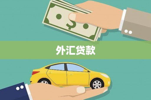 猇亭外汇贷款