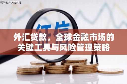 猇亭外汇贷款，全球金融市场的关键工具与风险管理策略