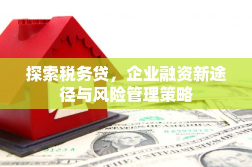 猇亭探索税务贷，企业融资新途径与风险管理策略