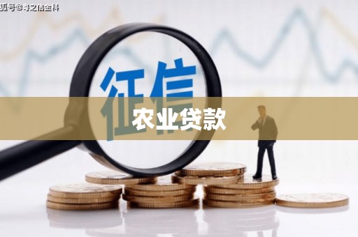 猇亭农业贷款