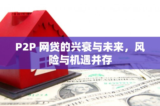 猇亭P2P 网贷的兴衰与未来，风险与机遇并存