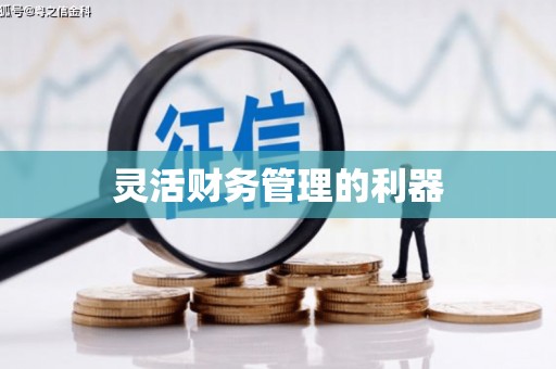 猇亭灵活财务管理的利器