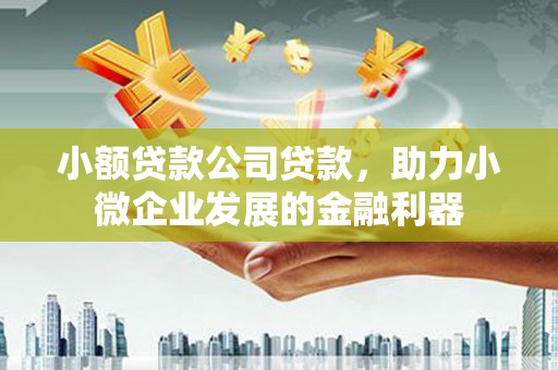 猇亭小额贷款公司贷款，助力小微企业发展的金融利器