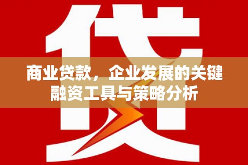 猇亭商业贷款，企业发展的关键融资工具与策略分析