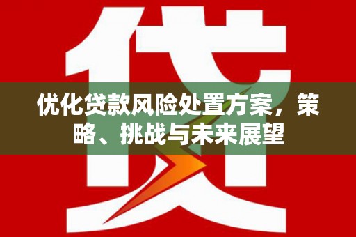 猇亭优化贷款风险处置方案，策略、挑战与未来展望