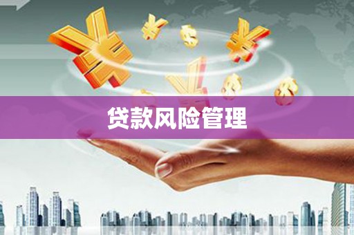 猇亭贷款风险管理