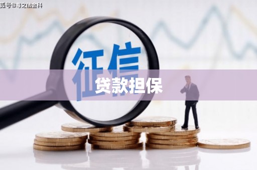 猇亭贷款担保