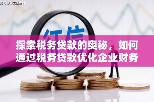 猇亭探索税务贷款的奥秘，如何通过税务贷款优化企业财务
