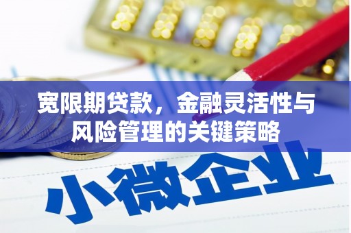 猇亭宽限期贷款，金融灵活性与风险管理的关键策略