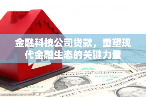 猇亭金融科技公司贷款，重塑现代金融生态的关键力量