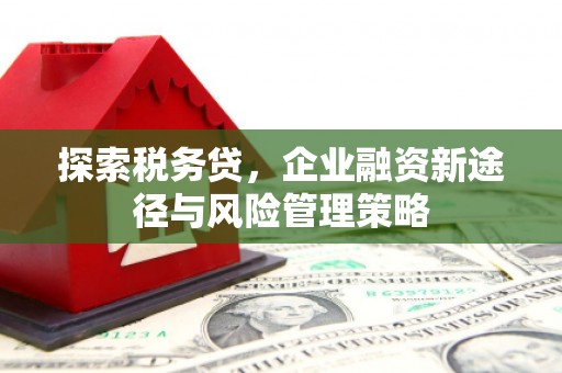 猇亭探索税务贷，企业融资新途径与风险管理策略