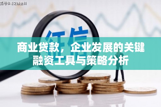 猇亭商业贷款，企业发展的关键融资工具与策略分析