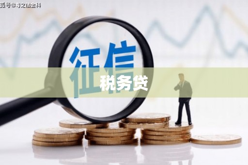 猇亭税务贷